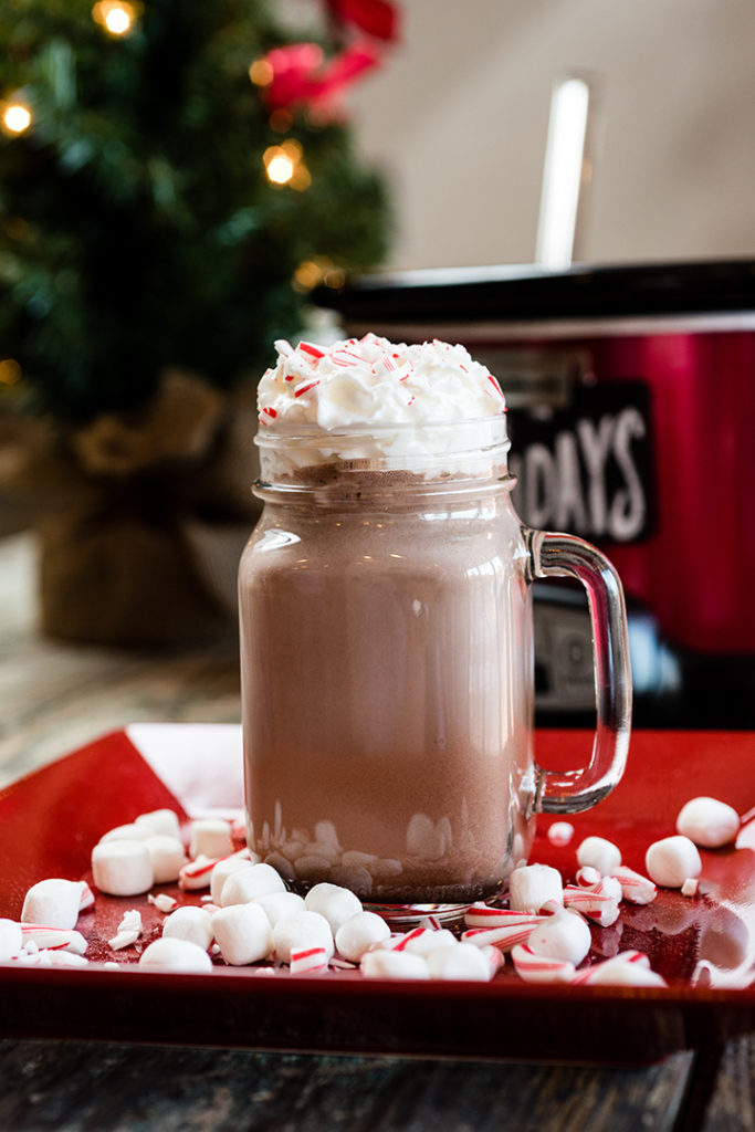slow-cooker-hot-chocolate-19